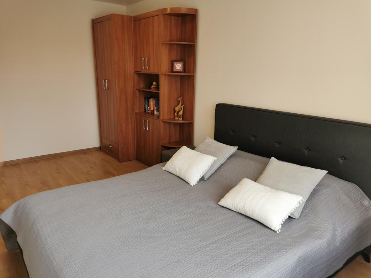דרוסקינינקאי Central Apartments Nojus מראה חיצוני תמונה